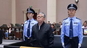 在开发区任职多年,杨有林为何能贪腐超22亿