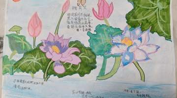 小暑节气之旅,深圳这所学校把课堂搬进厨房和书房