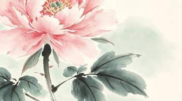 【早安,海棠】藏在小面馆里,不为人知的温暖