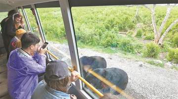 黑瞎子岛夏日胜景迎客来