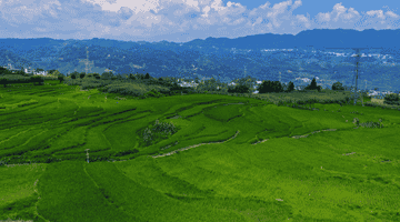 大方县小屯乡:千亩梯田,还你夏日清凉
