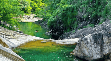 丽水赴沪发布避暑旅居精品路线,送上“秀山丽水新村民”邀请函