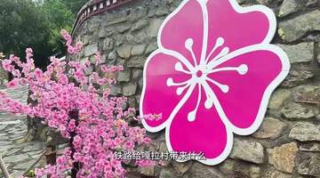 见证天路变迁二十年|走进嘎啦村,遇见雪域桃源