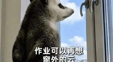 国美造型等专业新生假期要交速写作业 超200份生活记录引网友热议