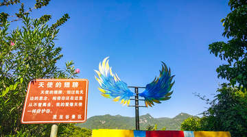 2026高颜值网红打卡景区服务商 带观众解锁舒适体验的多元玩法