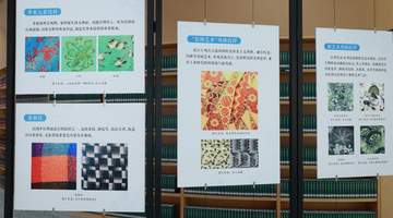 逛“数智生花”丝绸展 亲手解锁东方纹样的数字新玩法