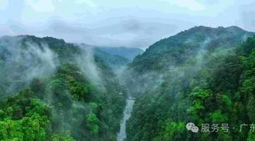 到天井山赴22℃的清凉之约,在绿野栈道中开启治愈森呼吸之旅