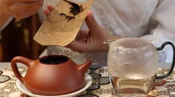 喝茶别踩坑！多类误区易伤身，这些健康知识你get到了吗？