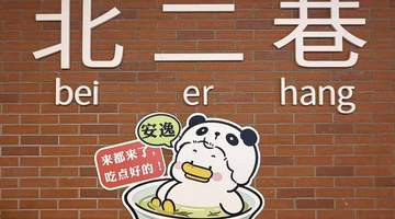 成都东郊记忆北二巷焕新开街 逛吃全川特色好物太巴适