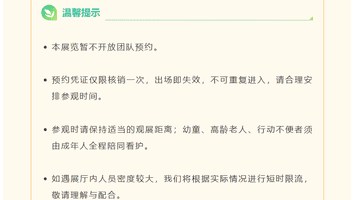 浙博“再现圆明园”特展现场观众拥挤混乱被迫关闭，观众分享现场排队被打乱的体验，馆方正协调处理安全隐患