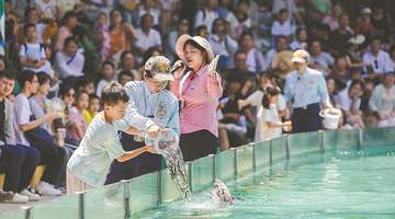 逛文博夜场享松弛游 广东文旅新体验拉满参与感