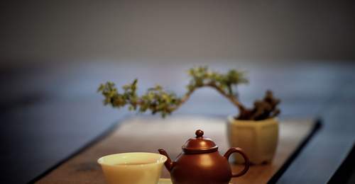 一茶一世界:品人生之苦,盼回甘之甜