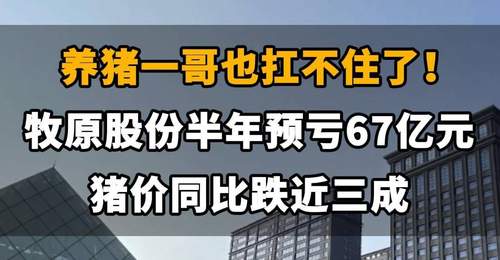 【养猪一哥也扛不住了!牧原股份半年亏掉67亿元,猪价同比跌近三成】
