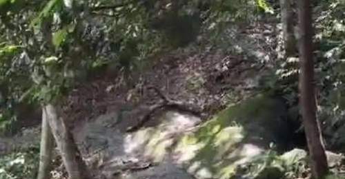 让安全成为文旅发展不可逾越的红线