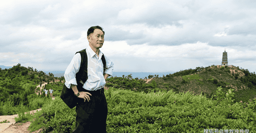 耄耋茶翁牵起乡邻茶香——车云山老党员周国启带乡亲把日子过成青山上的蜜