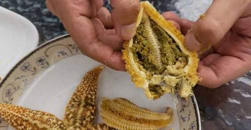 来参与海星火锅体验 二十八分钟煮后掰开那口满勺竟让人直呼扛不住