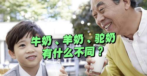 三款奶营养大比拼 亲测不同饮用感受藏这些细节