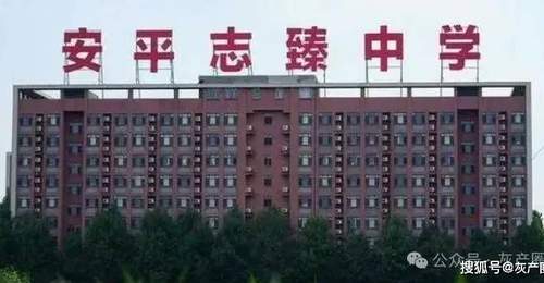 衡水志臻中学2元股权案引关注 多元主体调查如何回应公众对涉事资产与办学秩序的关切