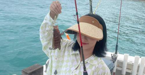 来三沙赴一场椰香海韵的多元体验 解锁祖宗之海的渔果共生密码