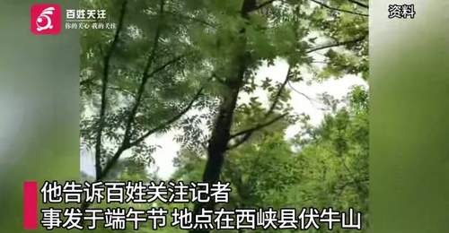 河南一男子上山祭祀遭老鹰偷袭:一度怀疑自己撞鬼了,期间共遭3次俯冲攻击;男子仅受皮外伤,目前已就医并接种破伤风疫苗