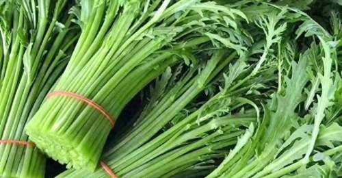 和脾胃、清心火、消痰止咳!这种蔬菜现在吃正合适→
