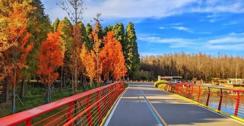 不要浪费昆明的雨天!7条专线带你解锁滇池湿地限定美景