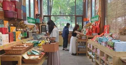 游山野、带特产!江夏供销让“土货”出村更出圈