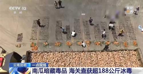 南瓜暗藏毒品,昆明海关查获超188公斤冰毒