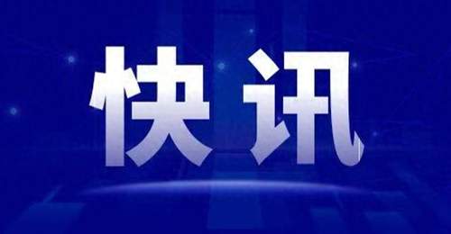 上海乐高乐园开业首年:接待游客人次创全球乐高乐园同期纪录,金山文体娱乐收入翻两番