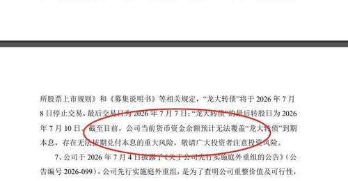 A股上演瞠目结舌一幕,昔日百亿巨头没钱兑付可转债本息!账面资金仅2.30亿元,流动负债达到34.51亿元,实控人曾四登胡润百富榜,巅峰期旗下蓝润系资产突破千亿元,西南新贵“达州帮”土崩瓦解