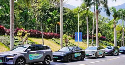 中国首个!2030年全面禁售燃油车!