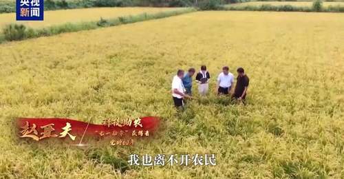 大党丨勋章无言