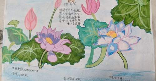 小暑节气之旅,深圳这所学校把课堂搬进厨房和书房