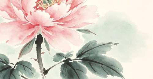 【早安,海棠】藏在小面馆里,不为人知的温暖