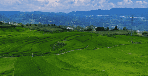 大方县小屯乡:千亩梯田,还你夏日清凉