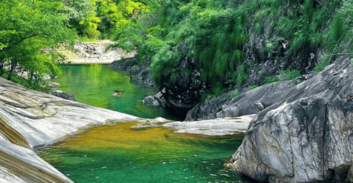 丽水赴沪发布避暑旅居精品路线,送上“秀山丽水新村民”邀请函