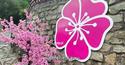 见证天路变迁二十年|走进嘎啦村,遇见雪域桃源