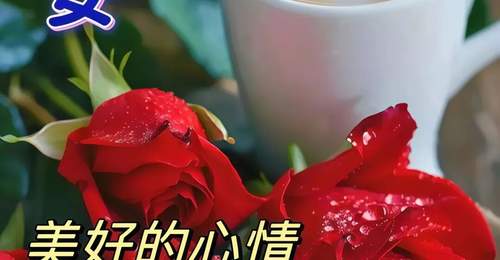 “早起三光,晚起三慌”,今早的暖心话送给最在乎的你