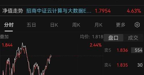 权重股催化助推中际旭创H股IPO发行价公布 云计算ETF午后涨势延续