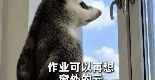 国美造型等专业新生假期要交速写作业 超200份生活记录引网友热议