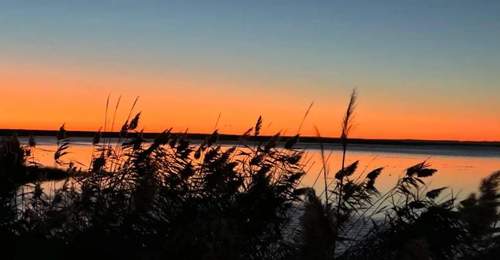 凌晨四点奔赴大漠天池,居延海等你来赴多元体验之约