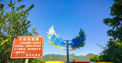2026高颜值网红打卡景区服务商 带观众解锁舒适体验的多元玩法
