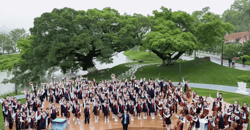 洞头分会场免票无围墙 这场园博盛会让市民家门口尽享园林乐趣