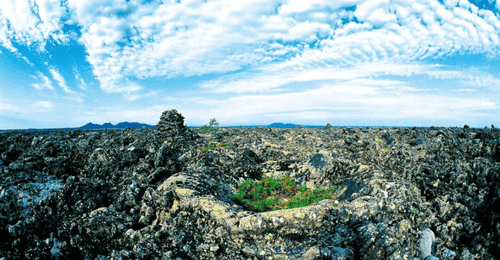 五大连池超火活动集结!赏非遗秀逛文旅市集 火山圣水节等你来玩