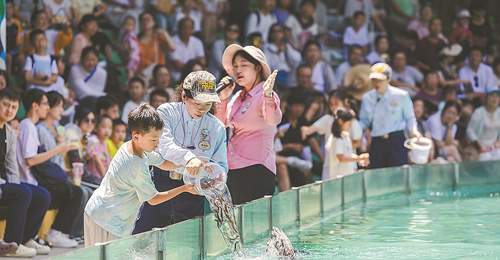 逛文博夜场享松弛游 广东文旅新体验拉满参与感
