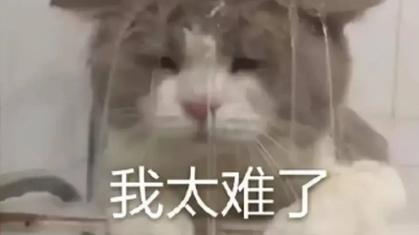 天下贰经典版:逃离同质化,重拾纯粹MMO情怀