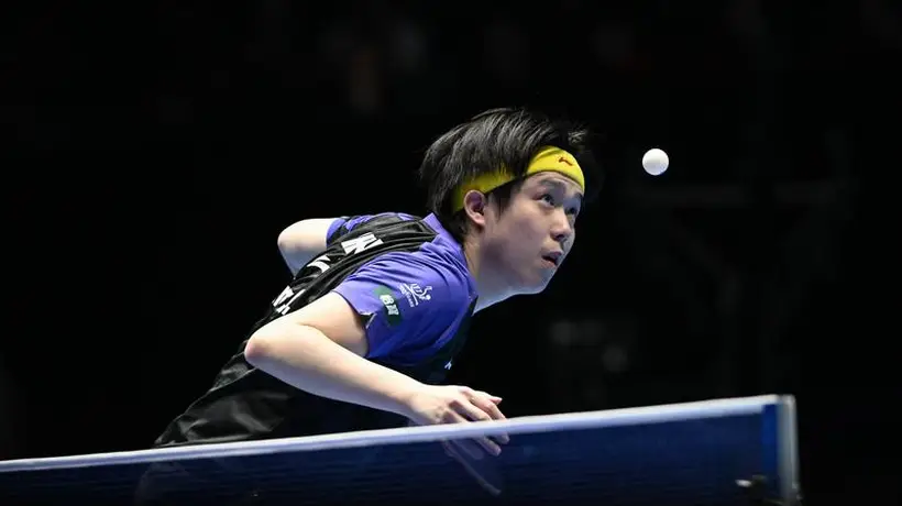 赢下国乒内战！WTT美国大满贯-王楚钦3-0击败周启豪