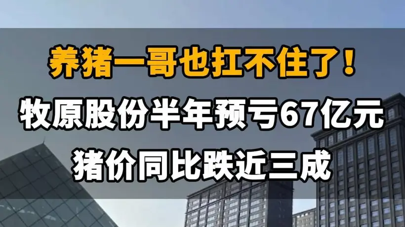 【养猪一哥也扛不住了!牧原股份半年亏掉67亿元,猪价同比跌近三成】