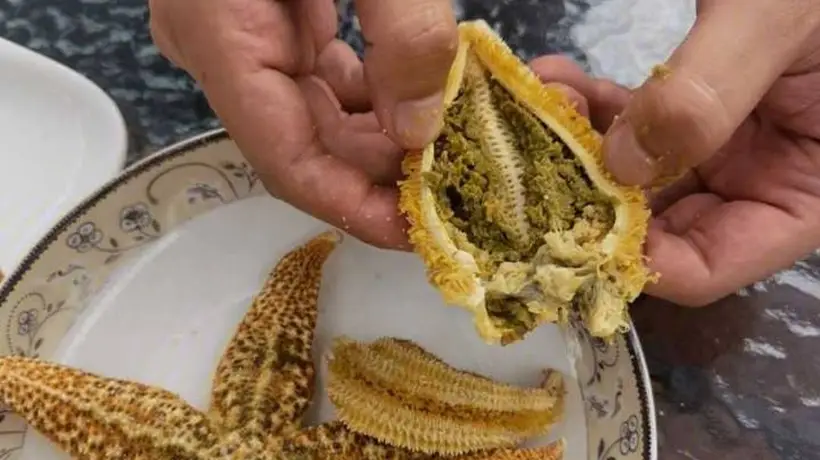 来参与海星火锅体验 二十八分钟煮后掰开那口满勺竟让人直呼扛不住