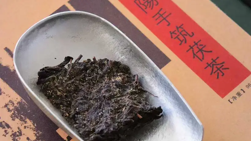 日常抿茯茶 松弛里品出岁月滋味